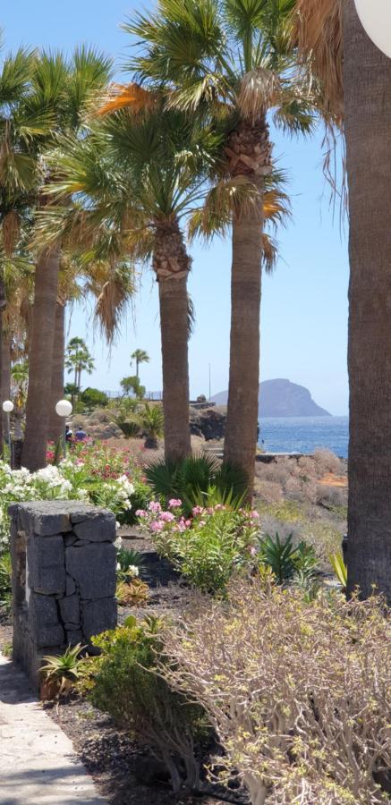 Cosy Well Located Apartment Tenerife Sur Golf San Miguel de Abona Exteriör bild